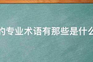 篮球训练术语大全集简单